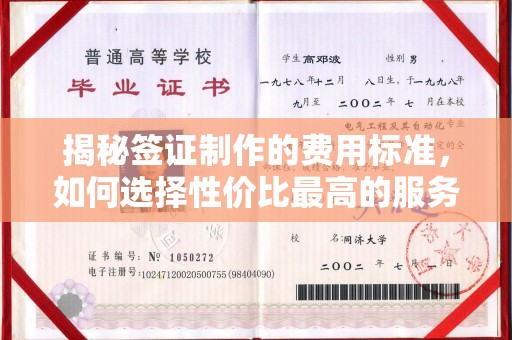 廉江揭秘签证制作的费用标准，如何选择性价比最高的服务？